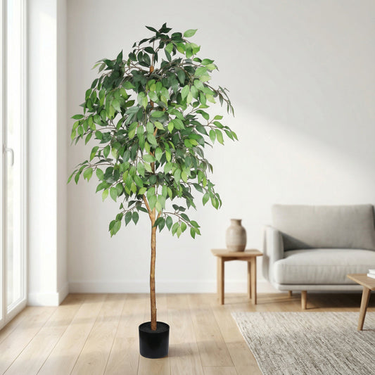 6FT Artificial Ficus Tree with Natural Trunk in Black Plastic Pot for Indoor Home Office Decor, 1pc/set