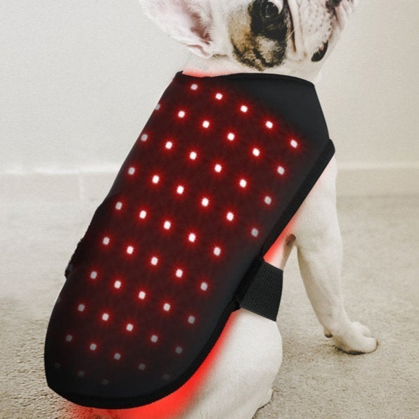 Pet Red Light Infrared Therapy Device Portable Wireless Therapy Mat For Fracture Healing