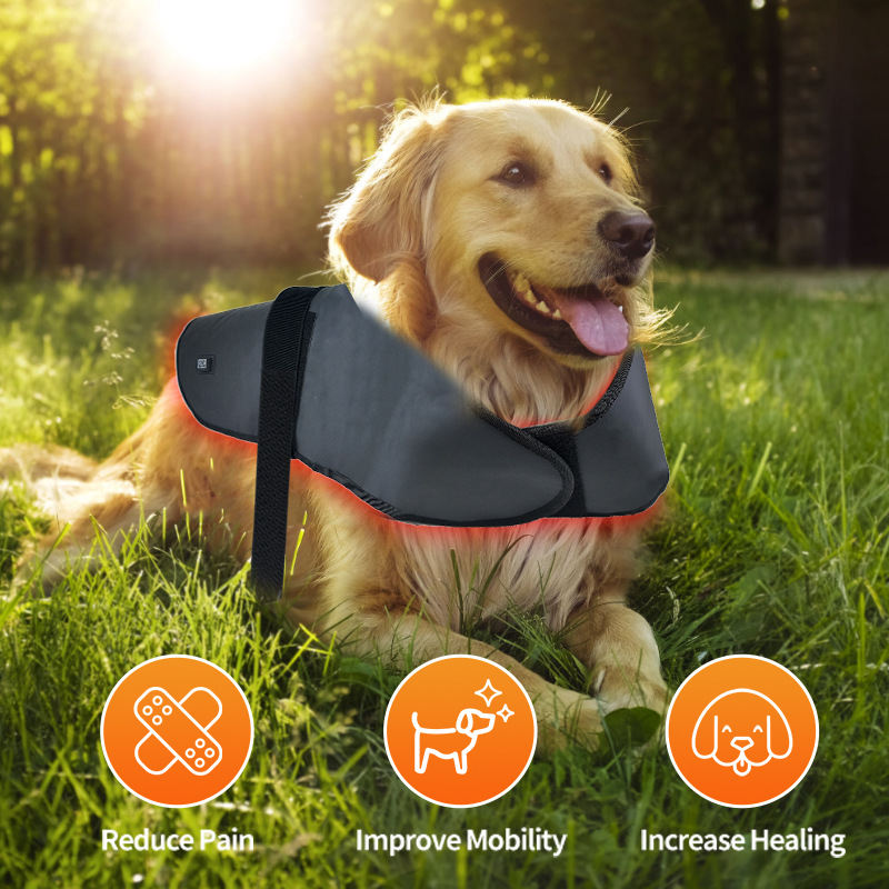 New L Size Pet Red Light Infrared Physiotherapy Instrument Dogs And Cats Back And Abdomen Injury Fracture Healing Portable Timing Wireless