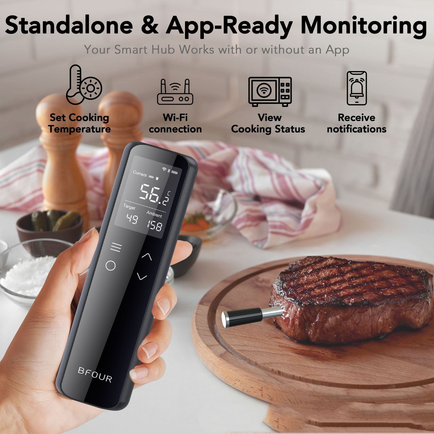 Food Barbecue Thermometer Kitchen Roasting Thermometer