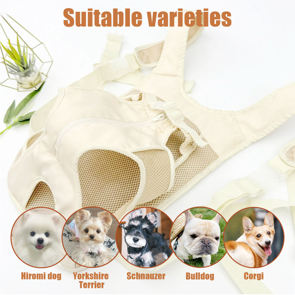 Portable Chest Harness Pet Carrier For Small And Medium-Sized Pets