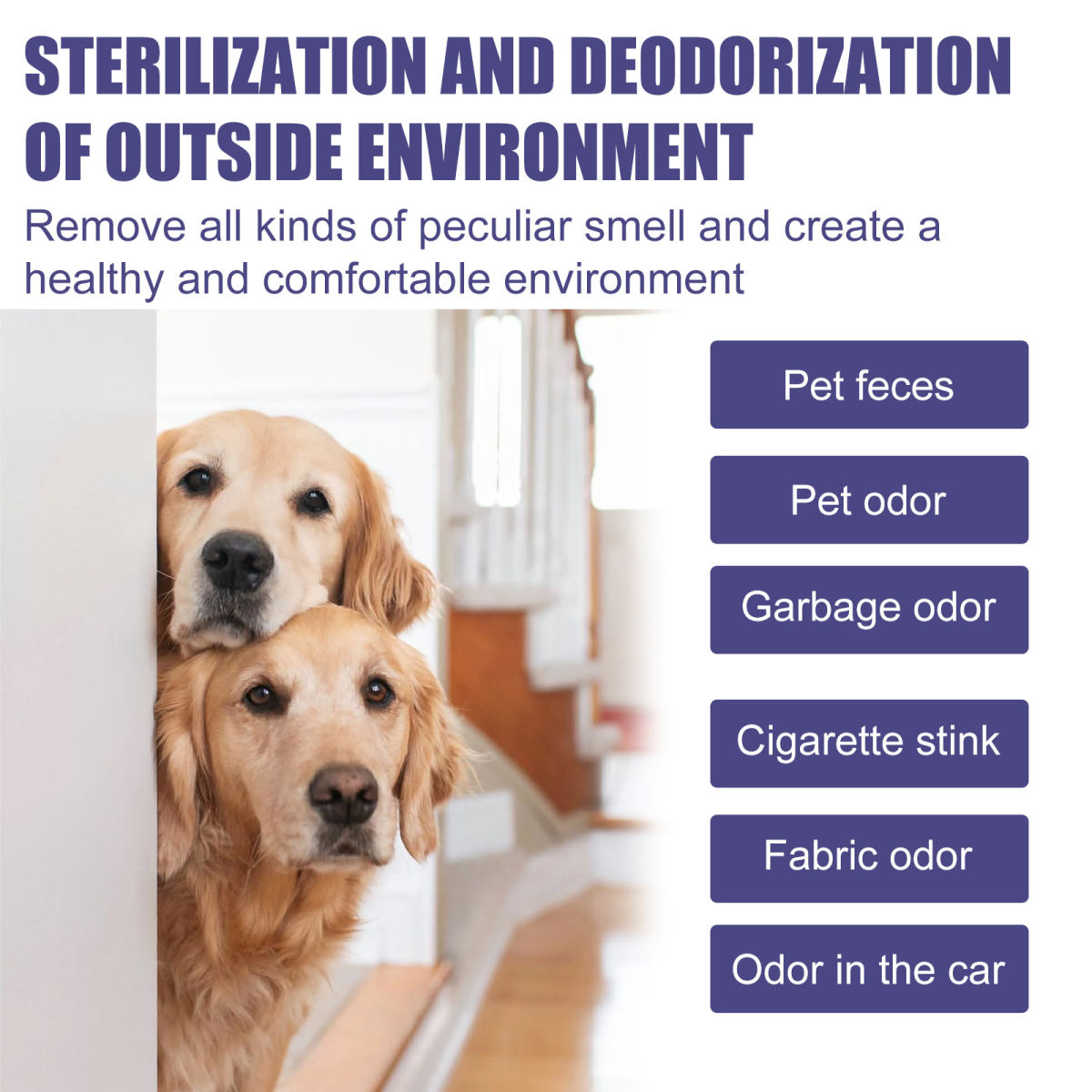 Pet Cat And Dog Odor-eliminating Air Freshener Spray