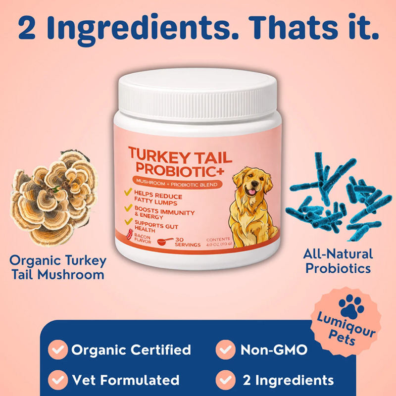 Pet Turkey Tail Mushroom Powder