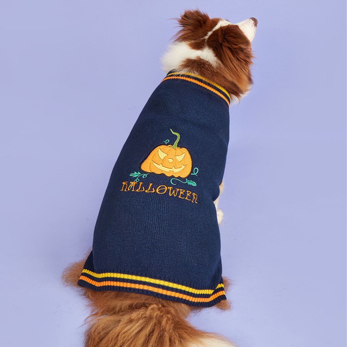New Halloween Pumpkin Pet Sweater In Blue