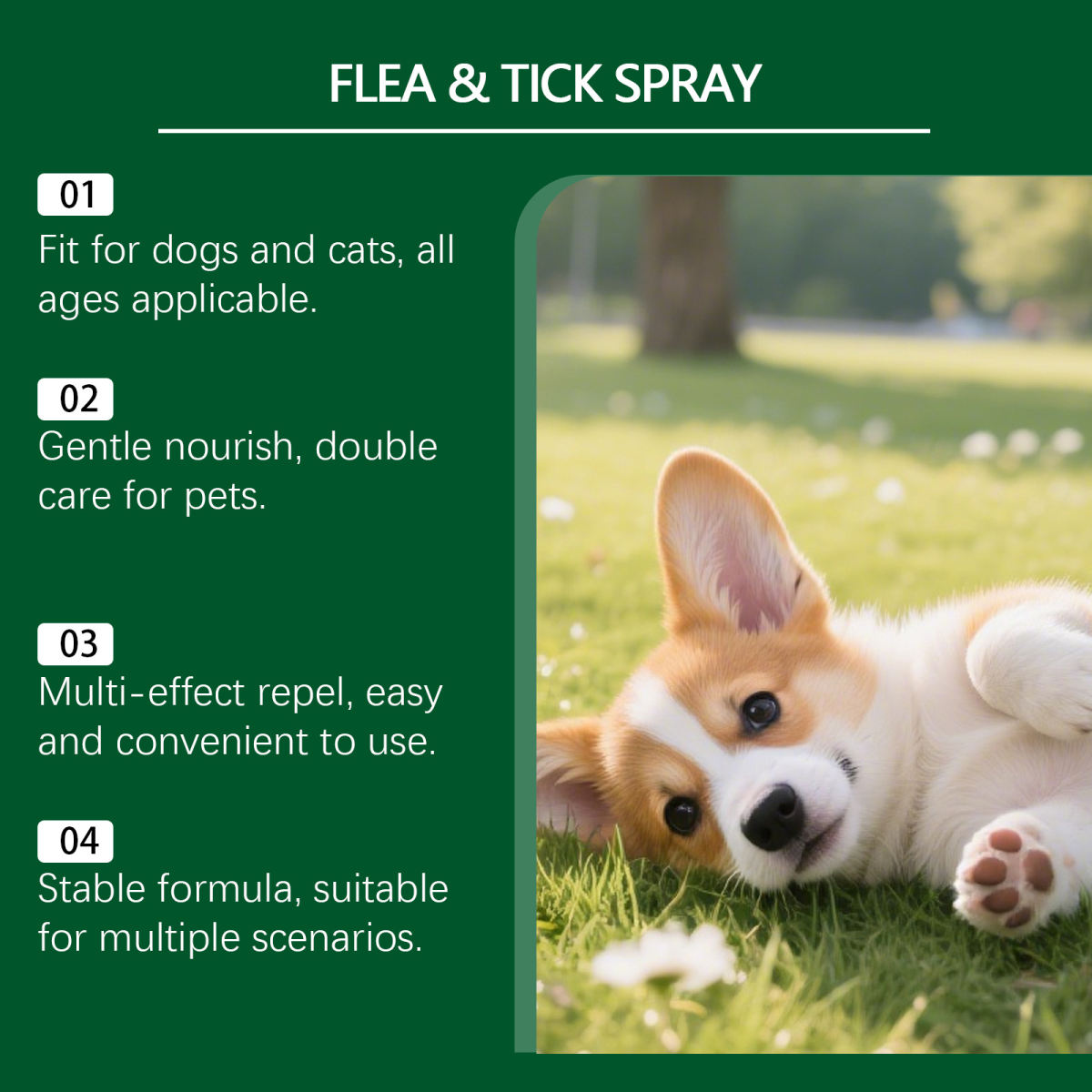 Plant-extract Pet Flea And Tick Spray, Universal For Cats And Dogs