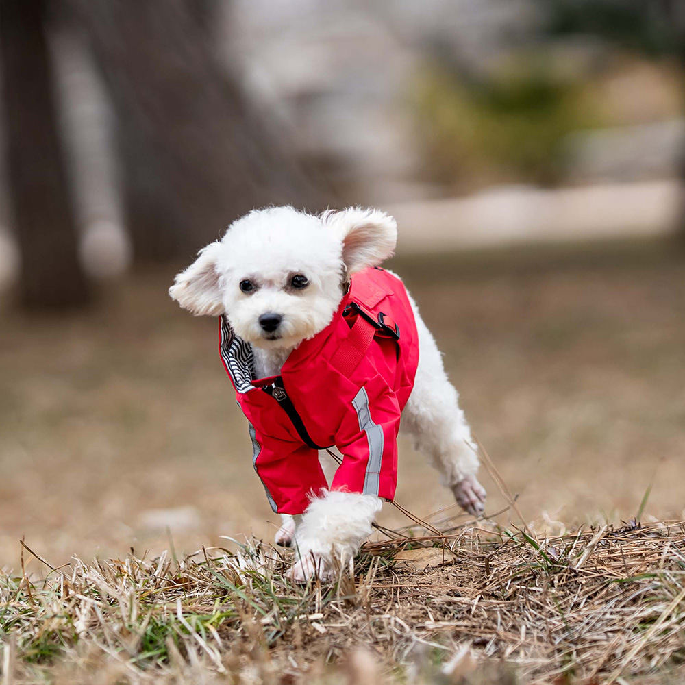 Pet Waterproof Raincoat British Dog Four Seasons Universal