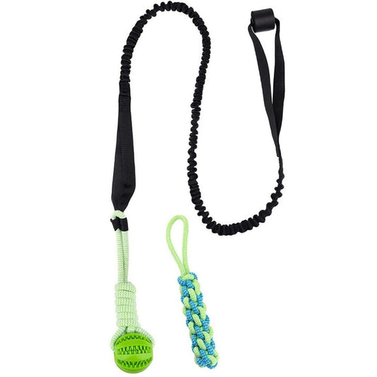 Dog Rope Toys Interactive Dog Bungee Toy With 2Pcs Chewing Rope For Most Dogs AU  Green