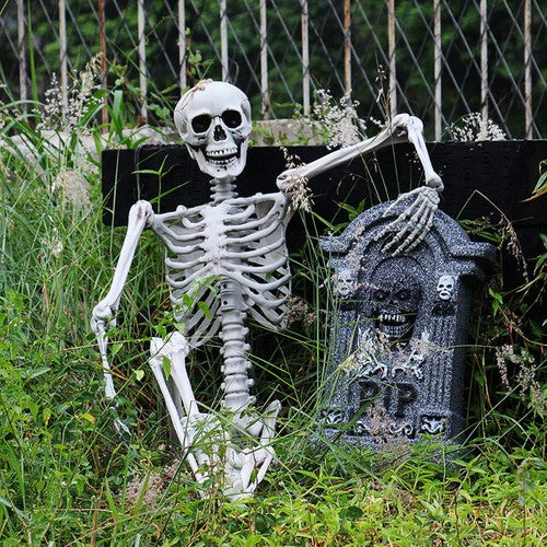 170cm Human Skeleton Life Size Skull Full Body Anatomy Model Halloween Medical