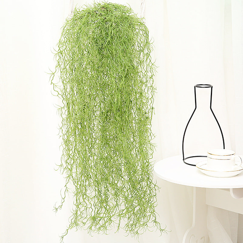 Early Beauty Wall Hanging Guesthouse Decoration