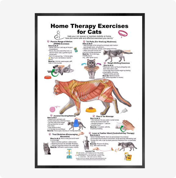 Cat And Dog Health Care Matters Hanging Pictures Veterinary Clinic Pets