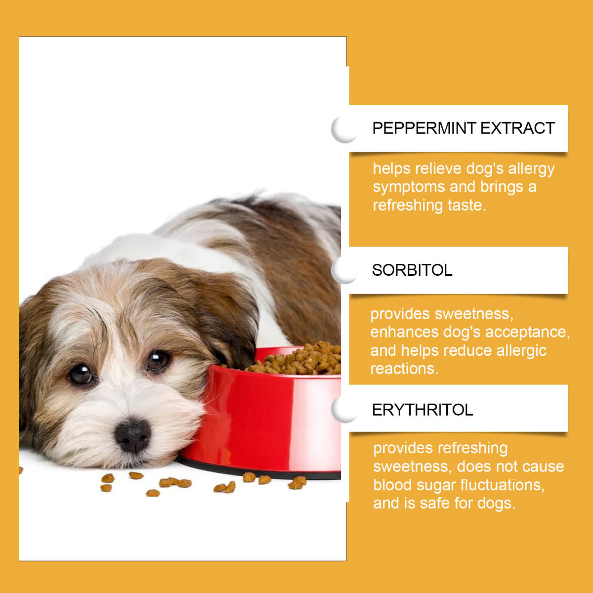 Dog Body Nutrition Care Supplement Drops