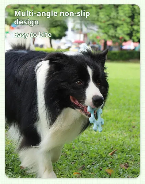 Pet Interactive Flywheel,Dog Toy,Fun Interactions Buildstronger Bonds