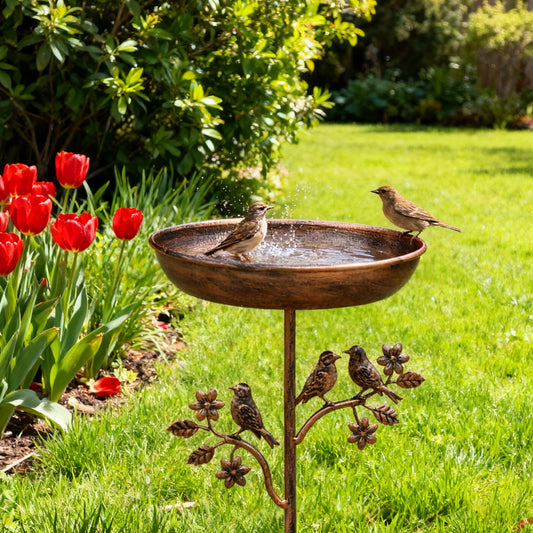 Outdoor Garden And Courtyard Decor Bird Baths Bird Feeders And Water Features