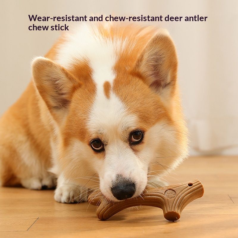 Pet Toy Dog Bone Bite-resistant Teeth-cleaning Made From Natural Pine Wood