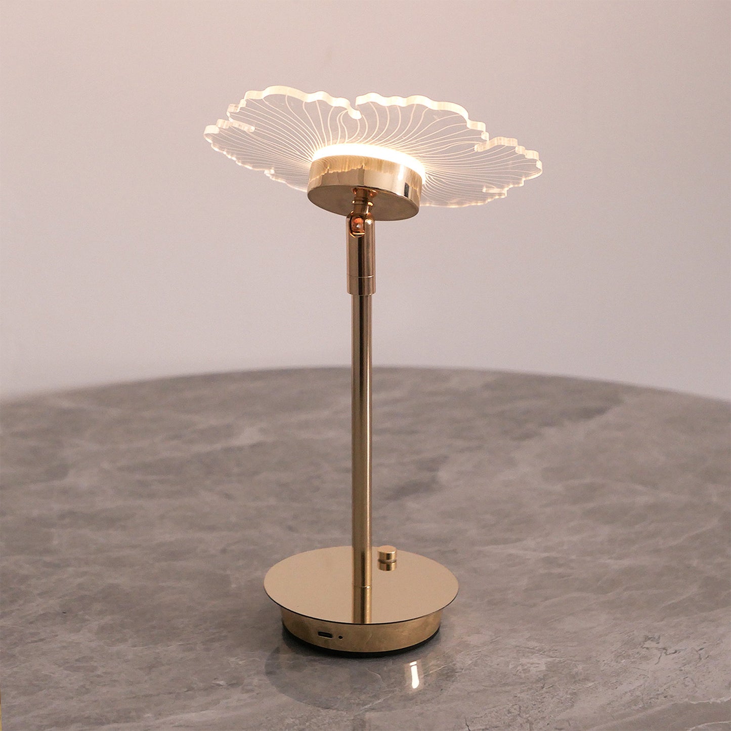 USB Charging Small Night Lamp Touch Electrodeless Dimming