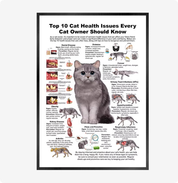 Cat And Dog Health Care Matters Hanging Pictures Veterinary Clinic Pets