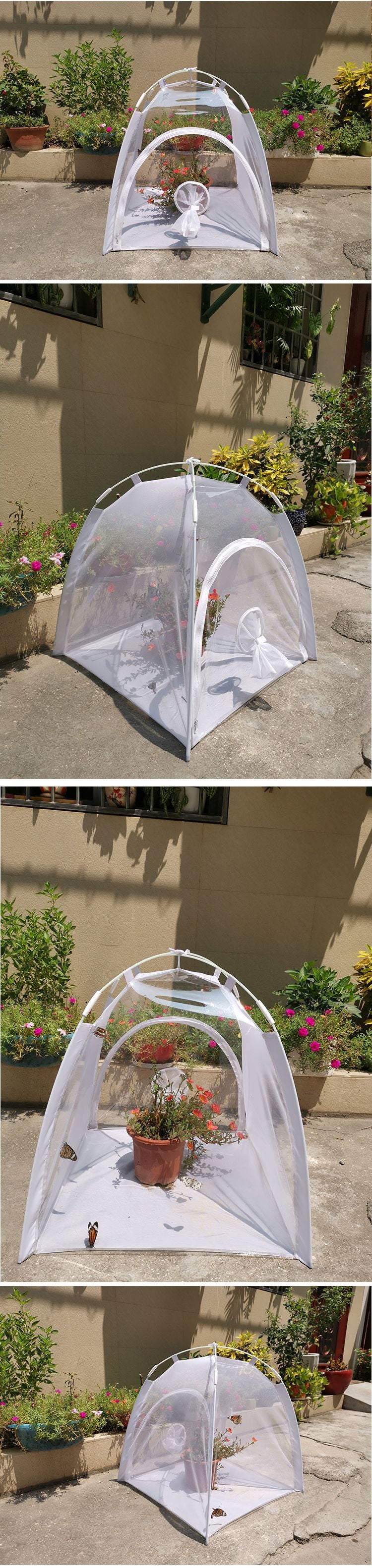 Feeding And Breeding Insects Or Observing Insects