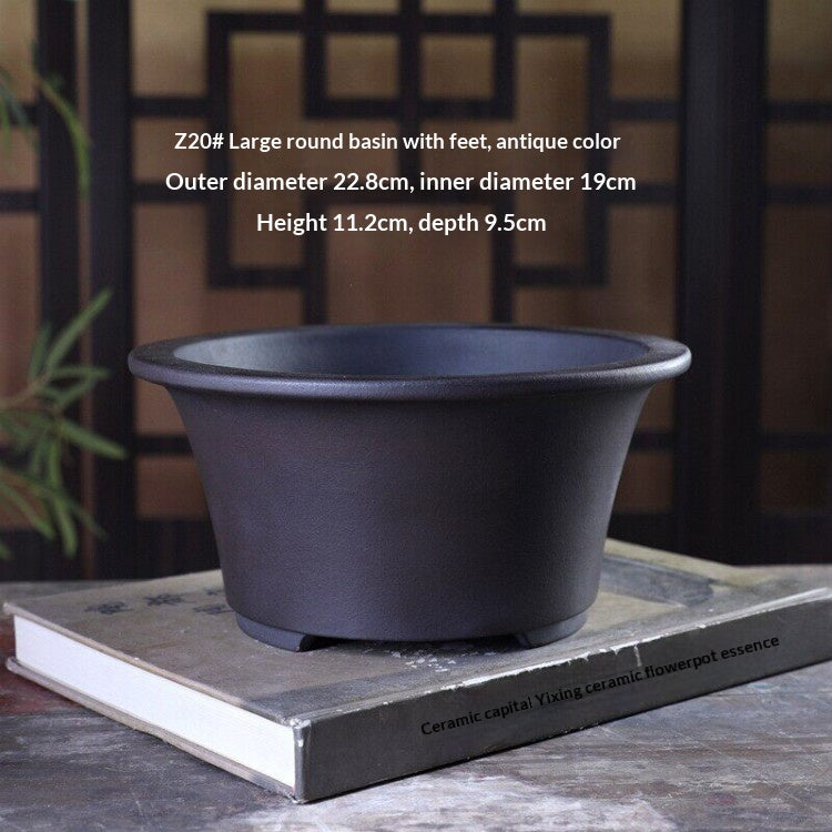 Medium To Large-sized Potted Greenery Bonsai For The Desk