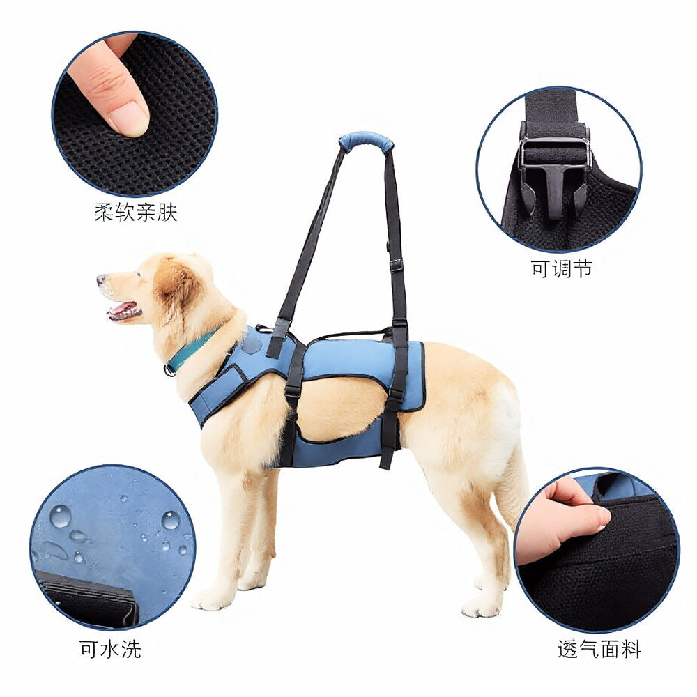 Assistance For A Pet Dog With Weak Legs