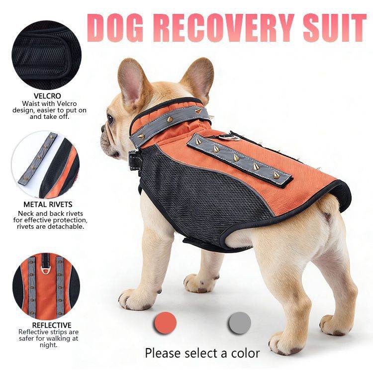 Amazon Pet Bite-Proof Suit Outdoor Dog Protective Gear