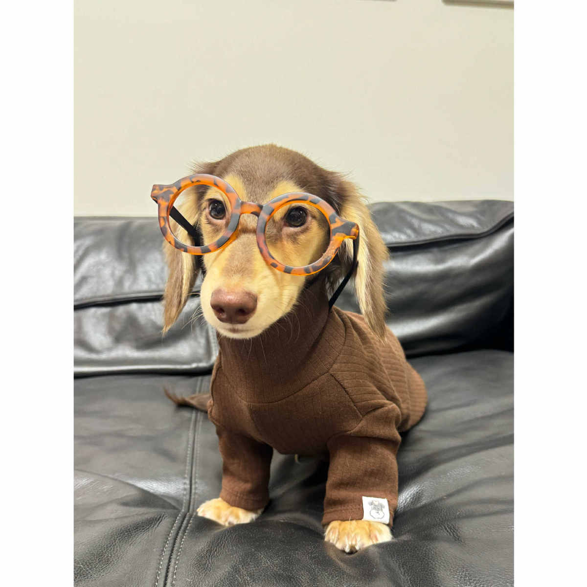Pet Clothing Autumnwinter High-neck Base Vest