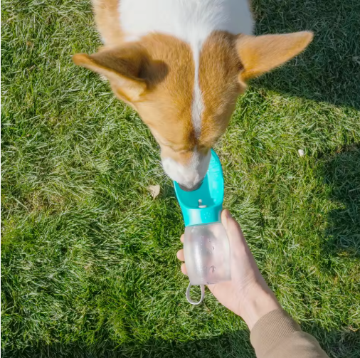 Pet Water Cup Outdoor Portable Water Bottle