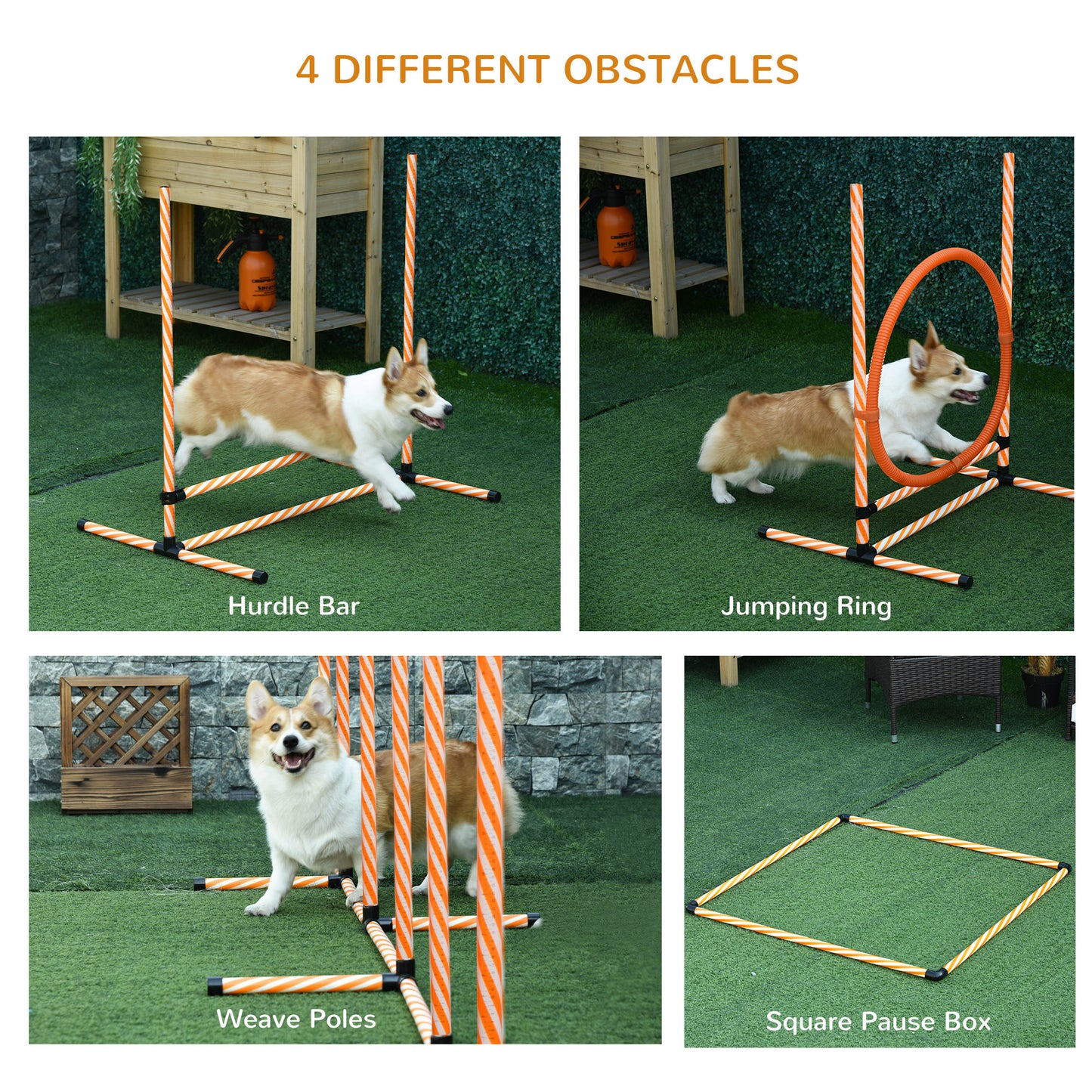 PawHut Dog Agility Equipment Pet Training Set With Adjustable Height Jump Ring Hurdle Whistle Weave Poles Square Pause Box Carry Bag
