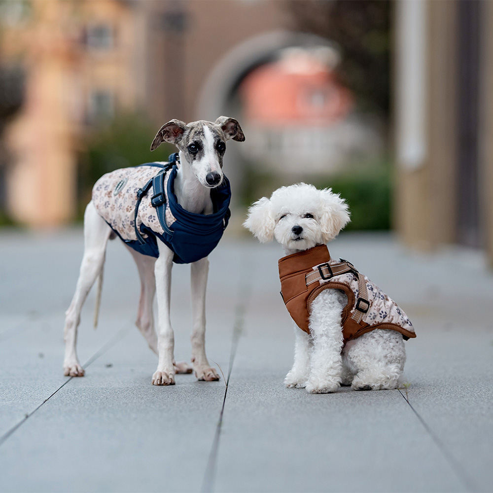 Pet Dog Clothes Winter Dog Chest And Back Cotton-padded Clothes
