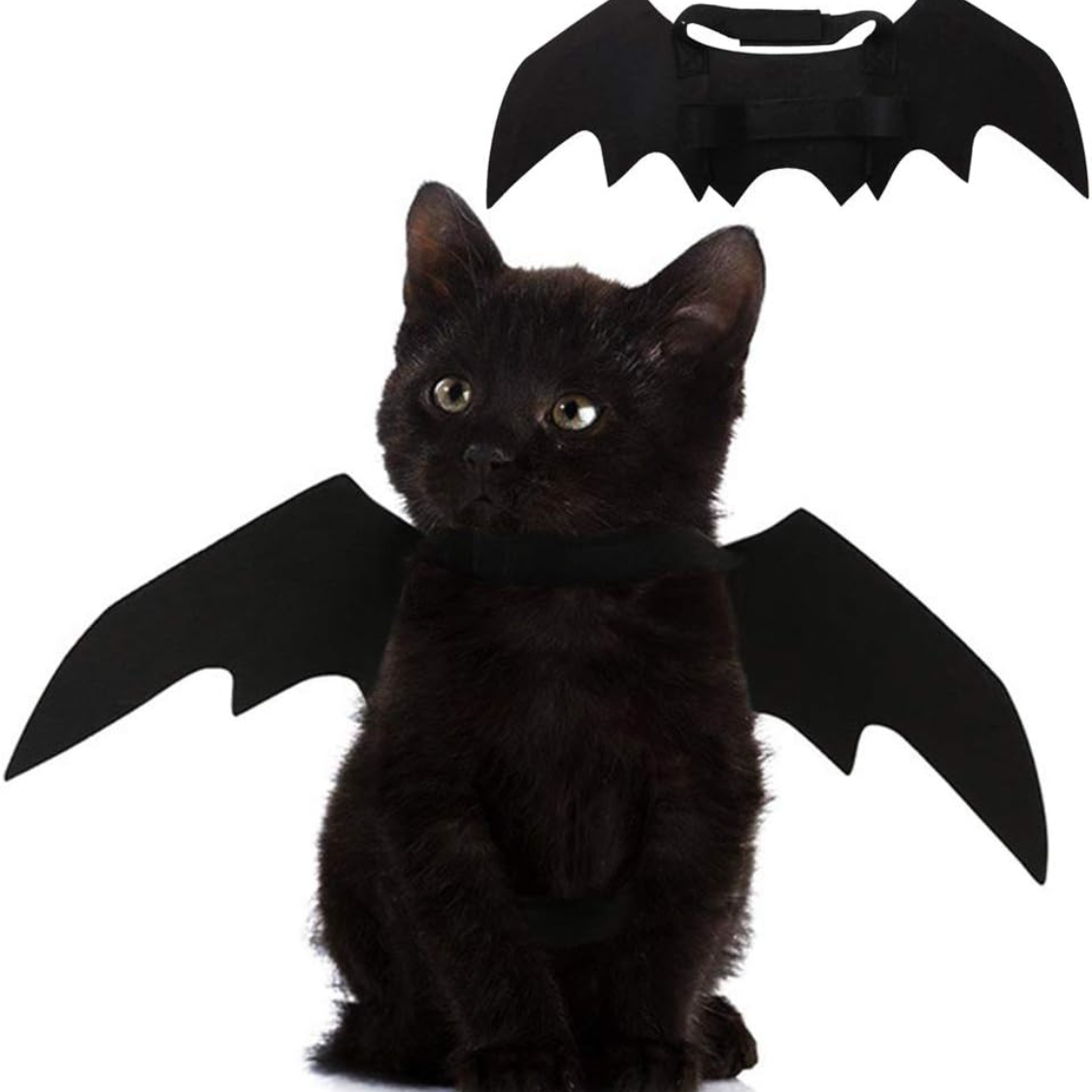 Pet Cat Bat Wings For Halloween Party Decoration, Puppy Collar Leads Cosplay Bat Costume,Cute Puppy Cat Dress Up Accessories