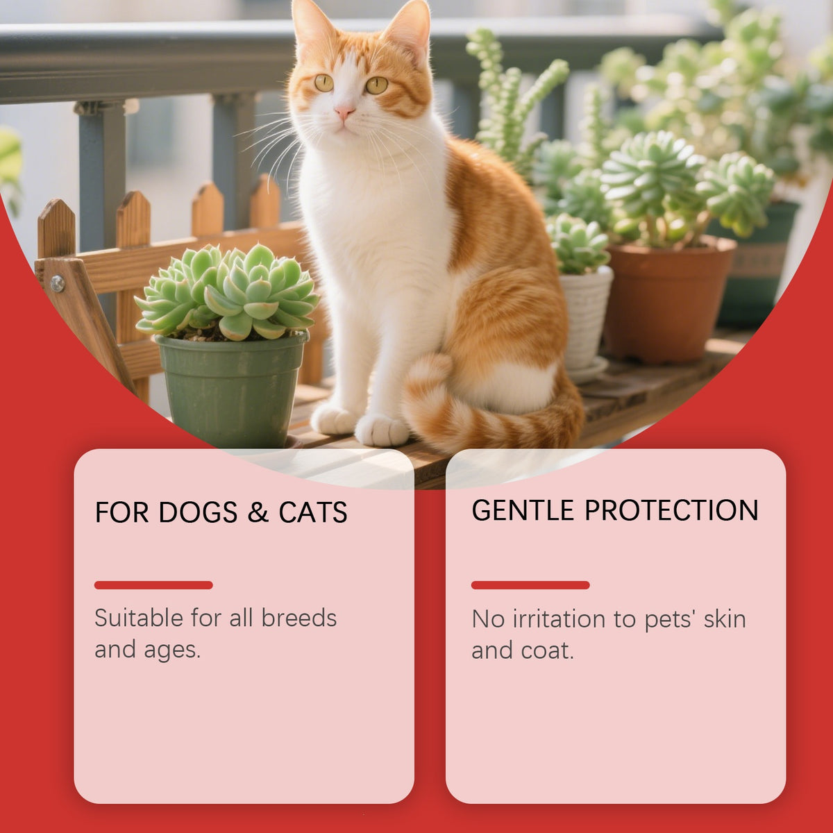 Eeljoy Pet Care Spray Is Suitable For Cats And Dogs To Clean And Care For Their Hair, Making It Clean And Refreshing, And Suitable For Multiple Scenarios
