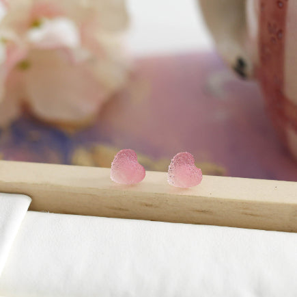 Hypoallergenic Stud Ear-piercing Care Earrings Niche