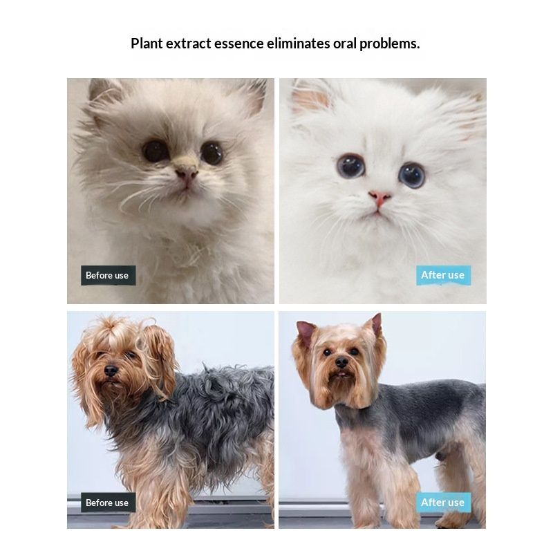 Pet No-Rinse Foam Shampoo