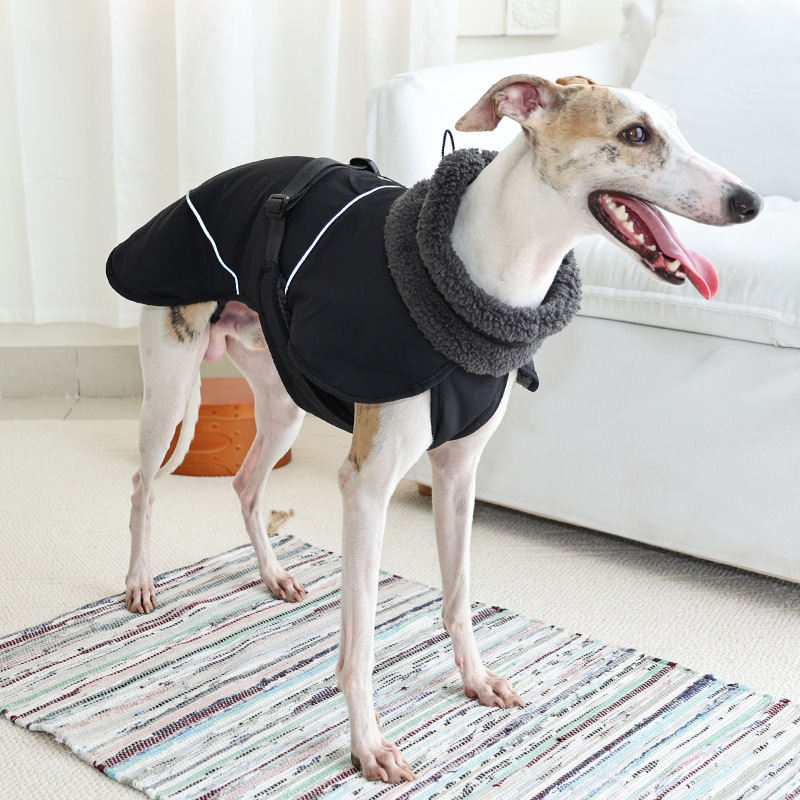 Dog Cotton-padded Clothes Go Out In Autumn And Winter Warm-keeping And Cold-proof Pet Clothes