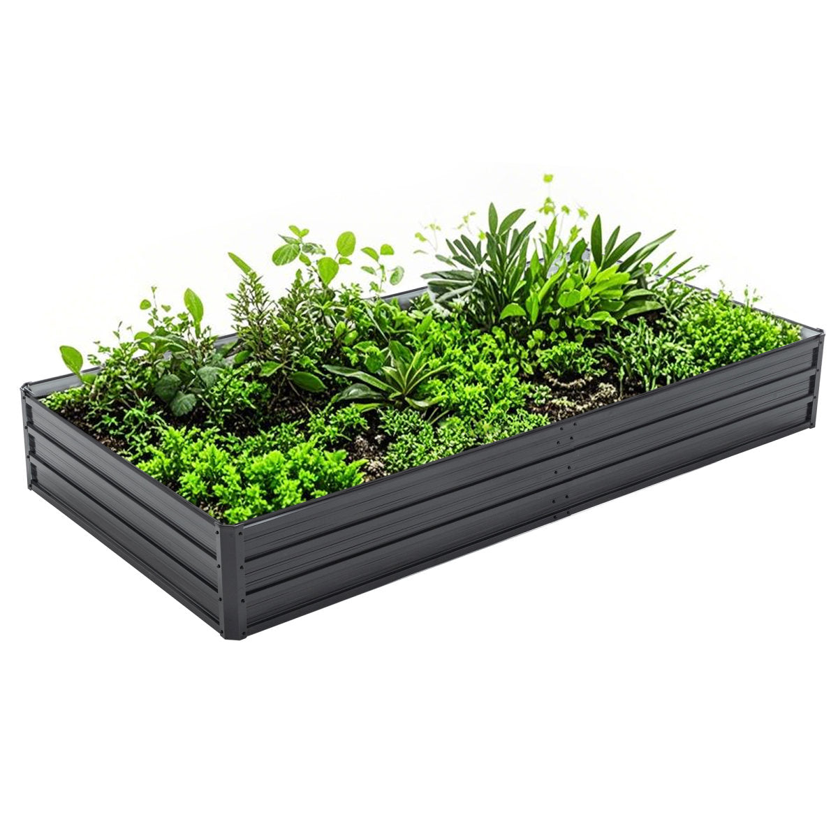 Galvanized Raised Garden Beds Outdoor // 8×4×1 ft Planter Raised Beds for Gardening, Vegetables, Flowers // Large Metal Garden Box