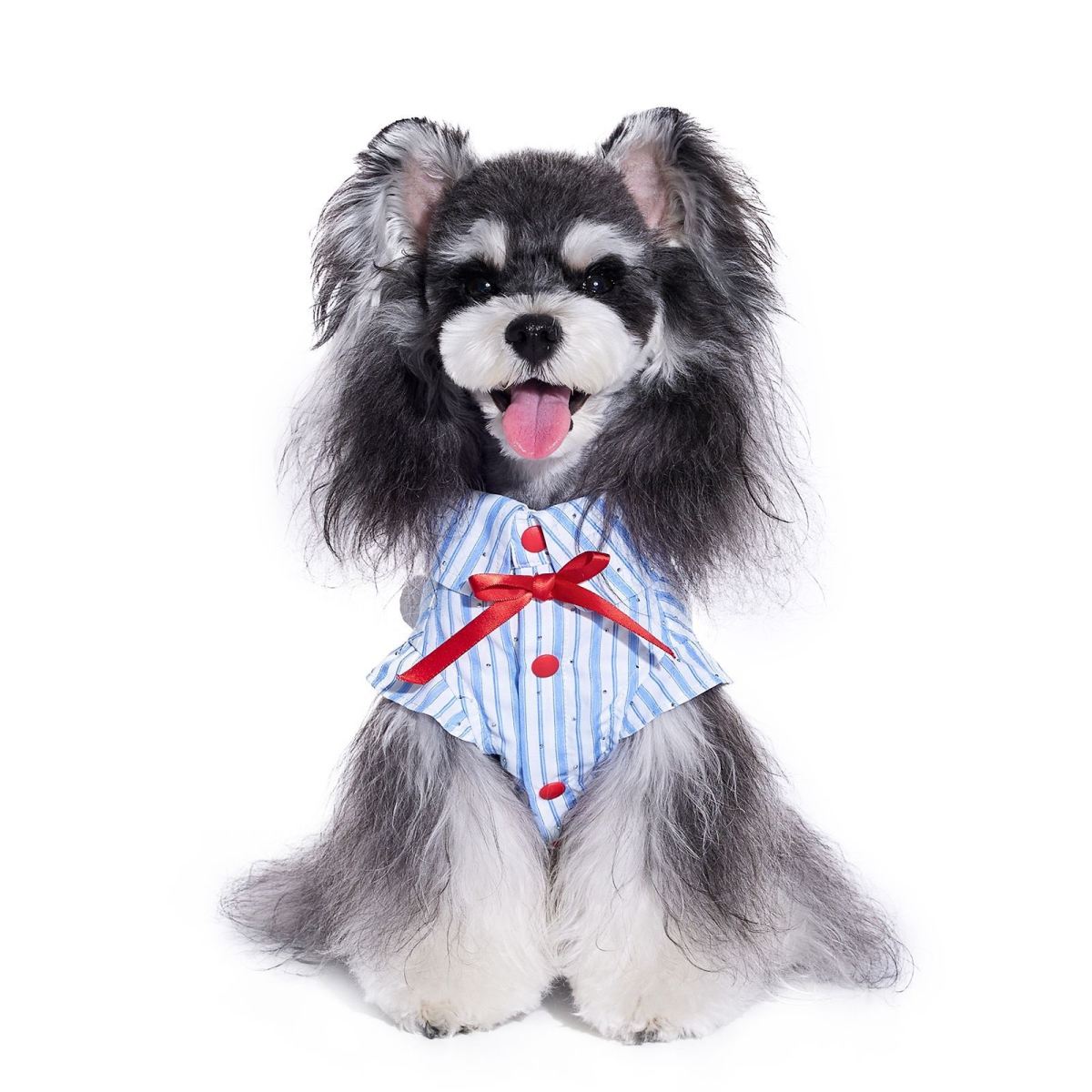 Schnauzer Pet Summer Thin Shirt Cute