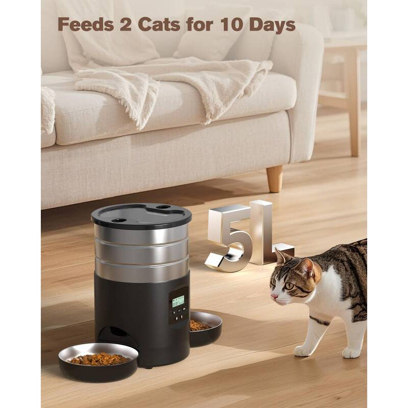 Dual Bowl Automatic Cat Feeder For Two Cats With Stable Anti Slip Design And Programmable Timer Offering One To Ten Portions Per Meal Transparent Locking Lid And Smart Dispenser For Both Dry And Wet F