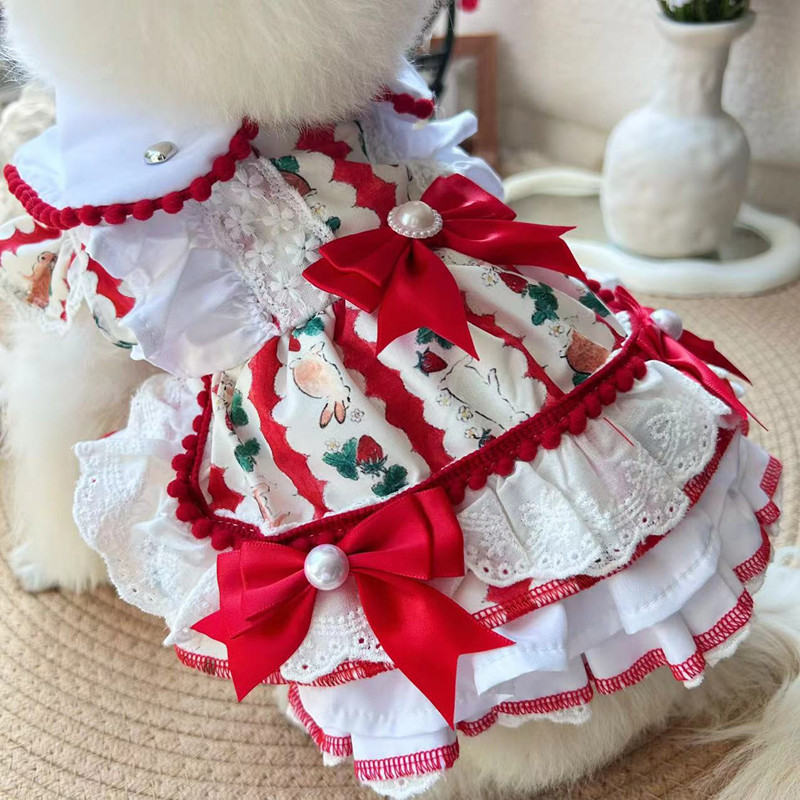 Pet Dog Clothes Clothes Are Better Than Xiong Bo