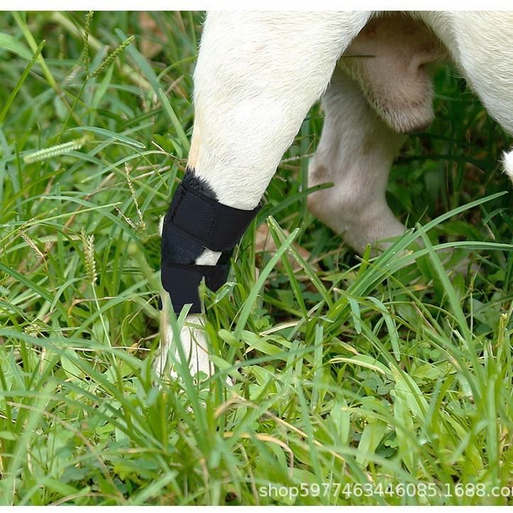 Post Op Recovery Leg Bite Prevention Sleeve For Dogs Pet Supply Short Length Support Strap