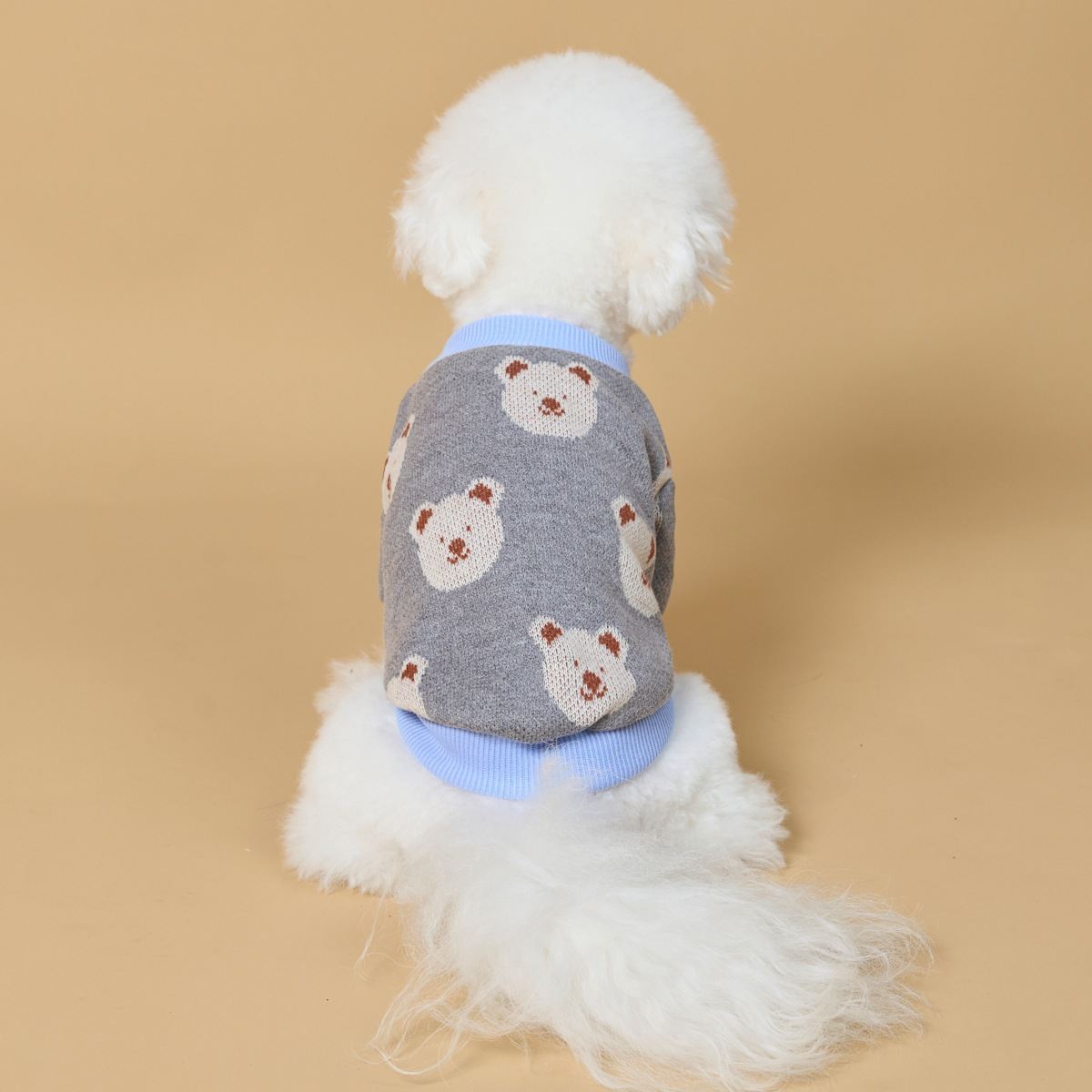 Casual-style Pet Sweater With A Little Bear Print