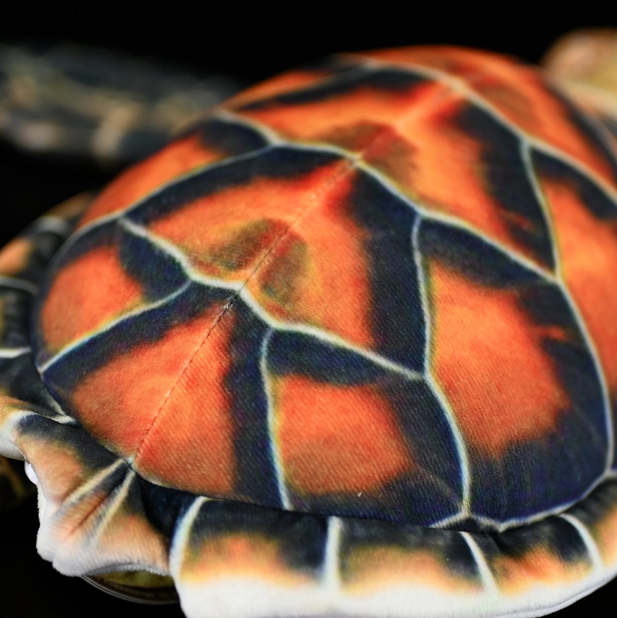 Cute Turtle Dolls Plush Toys