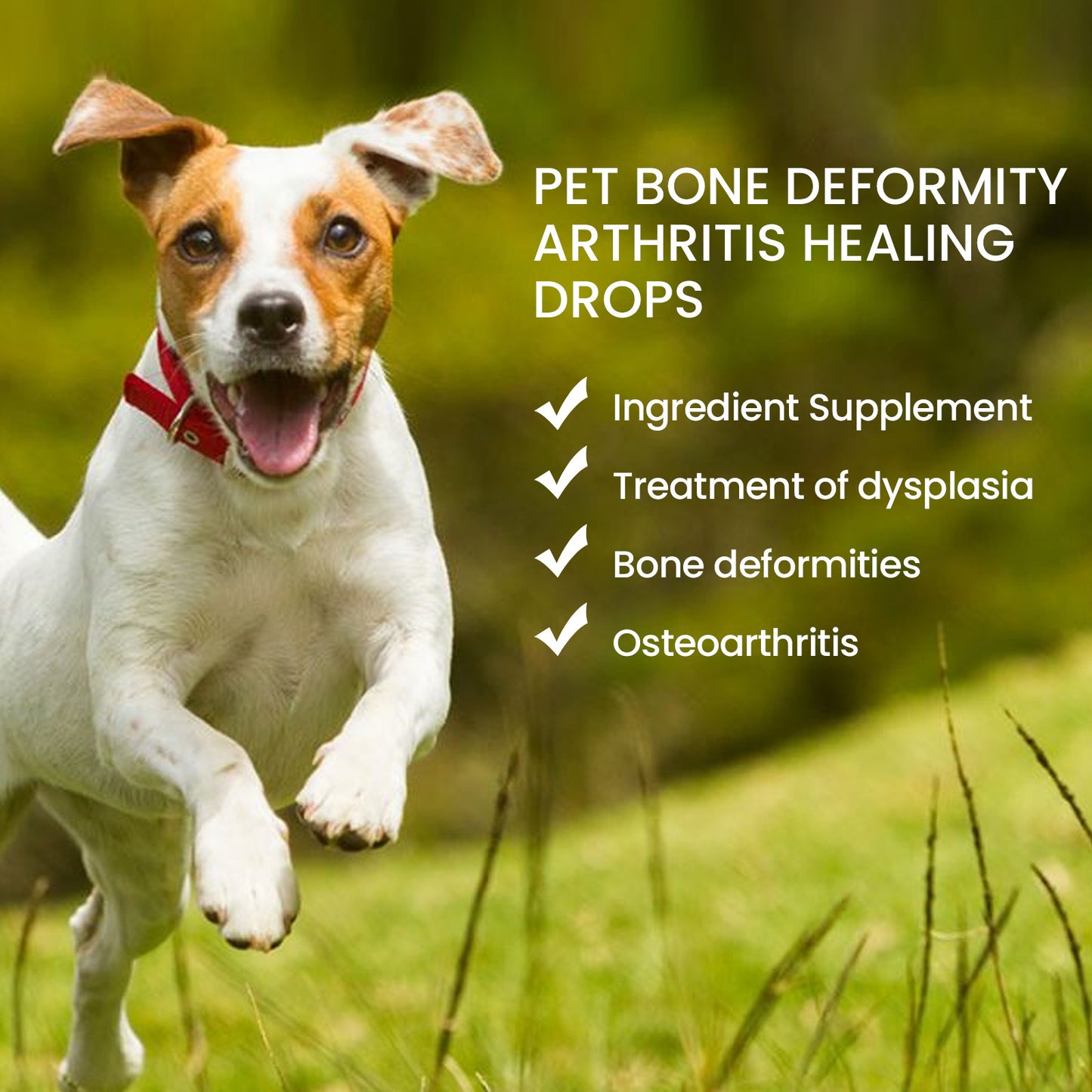 Pet Joint Care Drops Suitable For All Ages