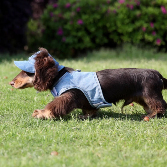 Pet Wild Cowboy Hat Sunscreen Dog Sun Protection Hat