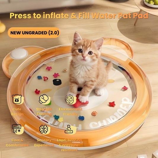 Pet Cooling Mat Water-filled Drop-resistant Large Size Crawling Water Pad