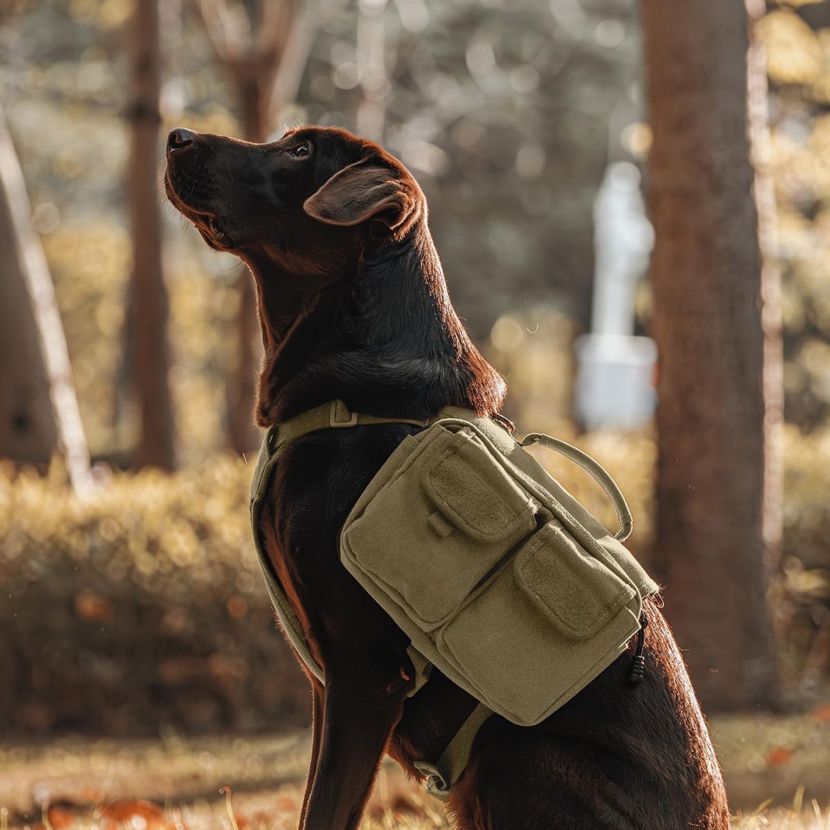 Hiking Backpack Saddle Bag Suitable For Medium To Large Dogs As An Outdoor Pet Carrier