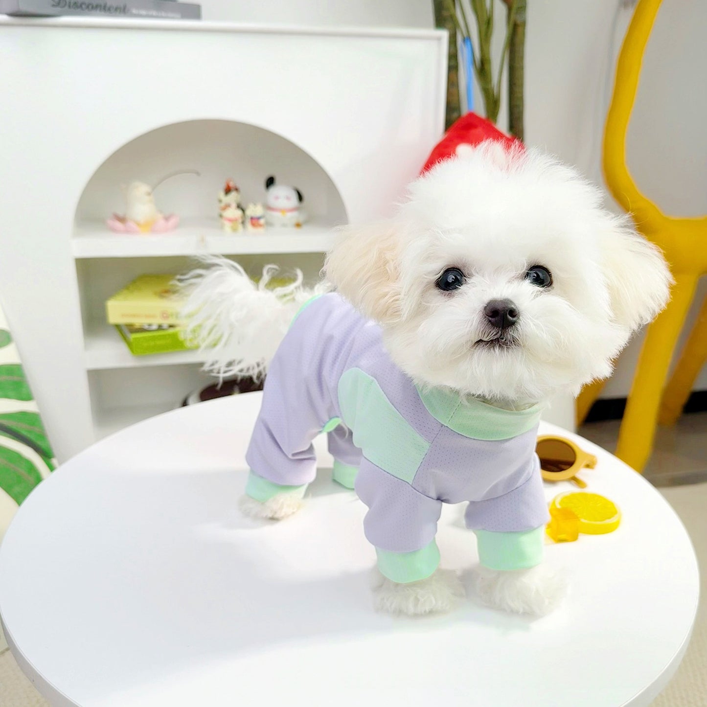 Pet Dog Clothes SpringSummer Ice Silk Cooling Four-Piece Suit