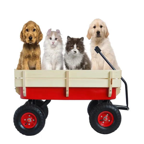Outdoor Sport Wagon Tools Cart Wooden Side Panels Air Tires Wagon - Red