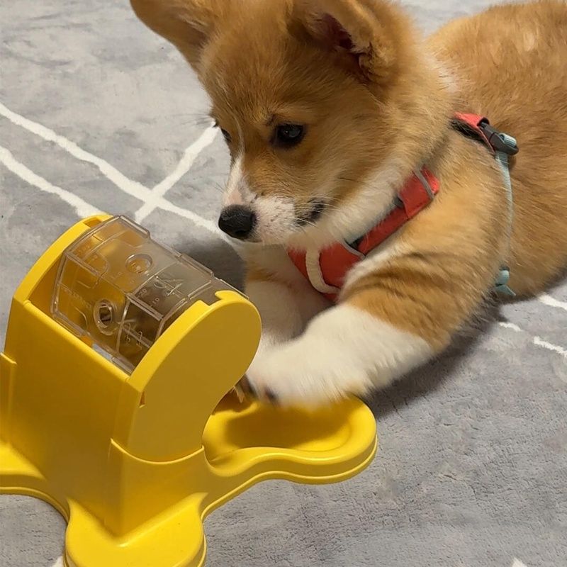 Automatic Pet Feeder Dogs And Cats Slow Food Trainer