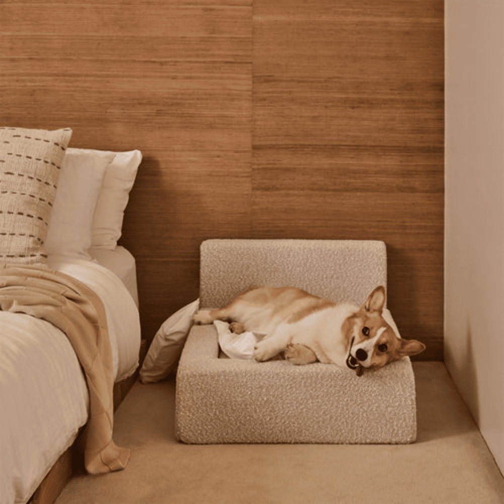 Dog Mat, Movable Rectangular Sponge Cat Bed Backrest, Pet Sofa, Suitable For Small, Medium And Large Cats And Dogs, Mat Bed, Dog Pet Accessories, Bedding