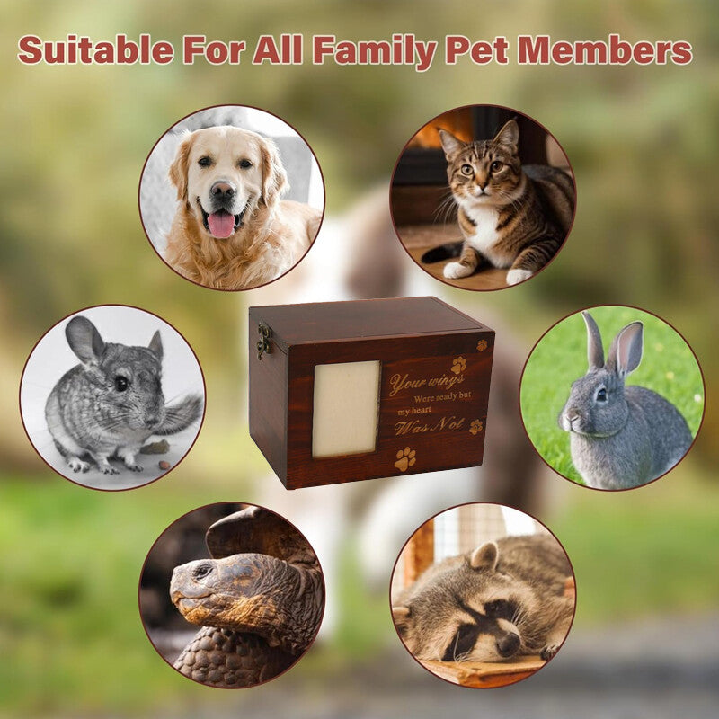 Pet Cremation Urn Ash Urns For Dogs Casket Wooden Box Commemorate Memory Box