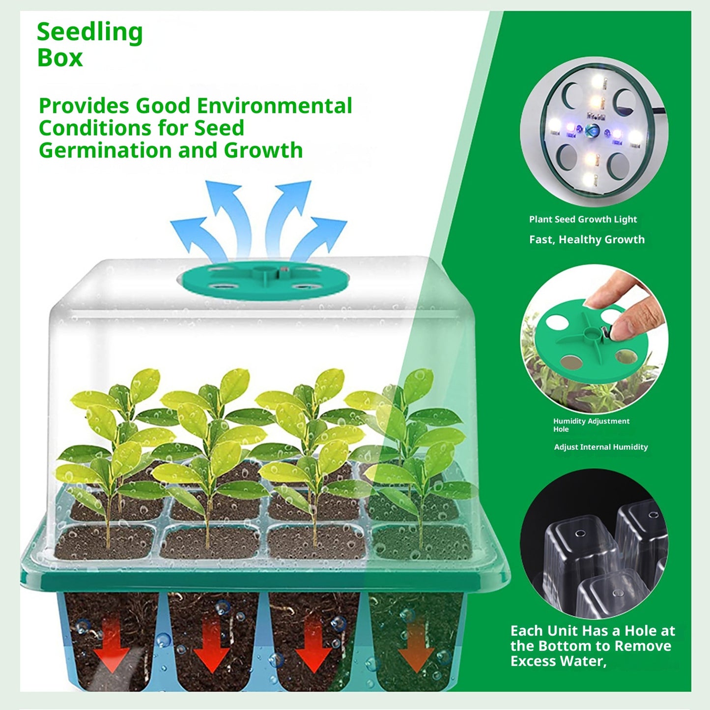 Smart Seedling Tray With Smart Grow Light